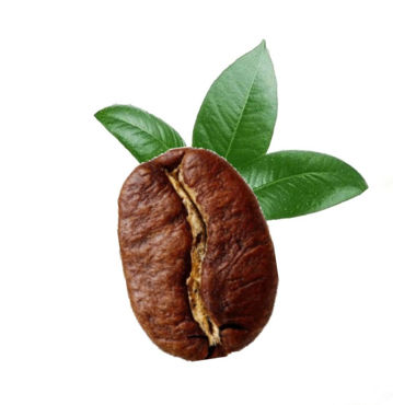 تصویر برای دسته  قهوه  تک خاستگاه