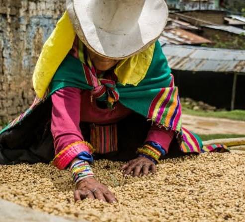 دانه قهوه تخصصی پرو | LUSSO