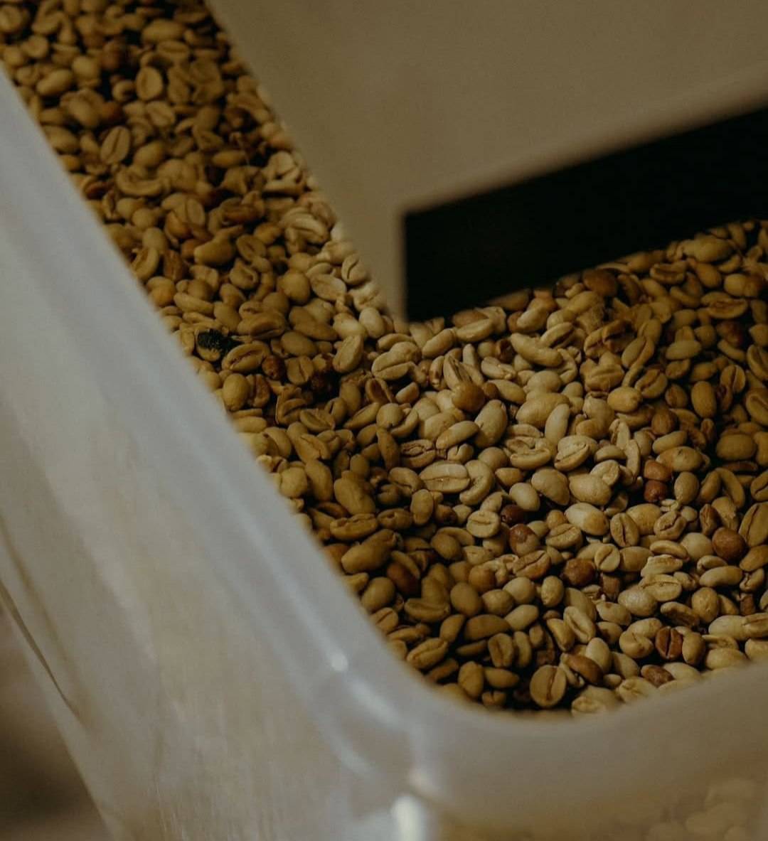 دانه قهوه تخصصی روبوستا چری | LUSSO