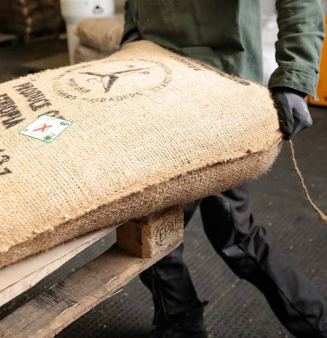 دانه قهوه تخصصی روبوستا اوگاندا | LUSSO