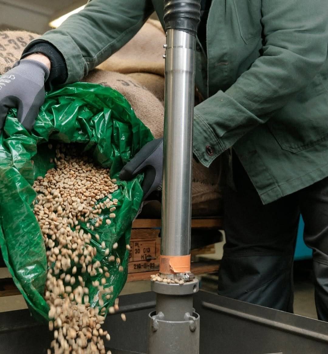 دانه قهوه تخصصی روبوستا اوگاندا | LUSSO