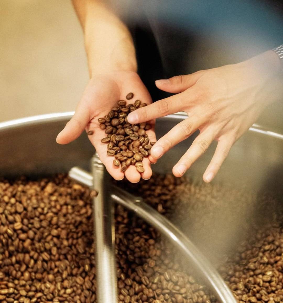 دانه قهوه تخصصی روبوستا پی بی | LUSSO