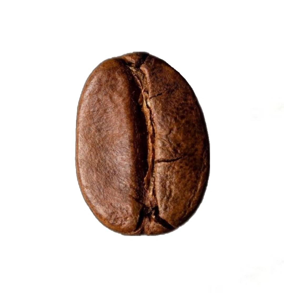 قهوه  روبوستا